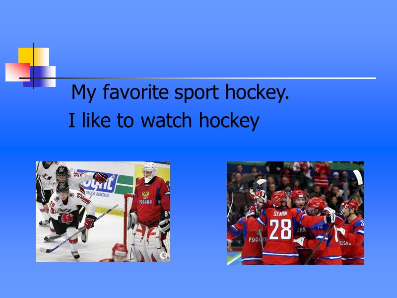 My favorite sport hockey.     I like to watch hockey